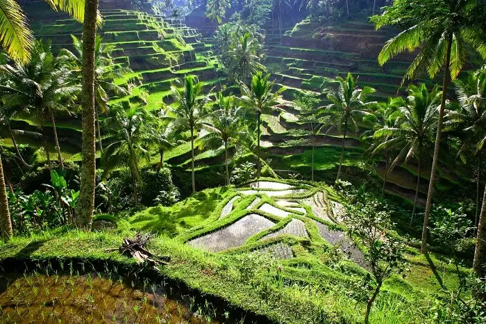 Top 5 Villages in Bali Known for Spiritual Energy