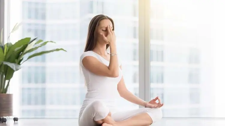 What Are the 8 Limbs of Yoga—And How Do They Lead to True Freedom?