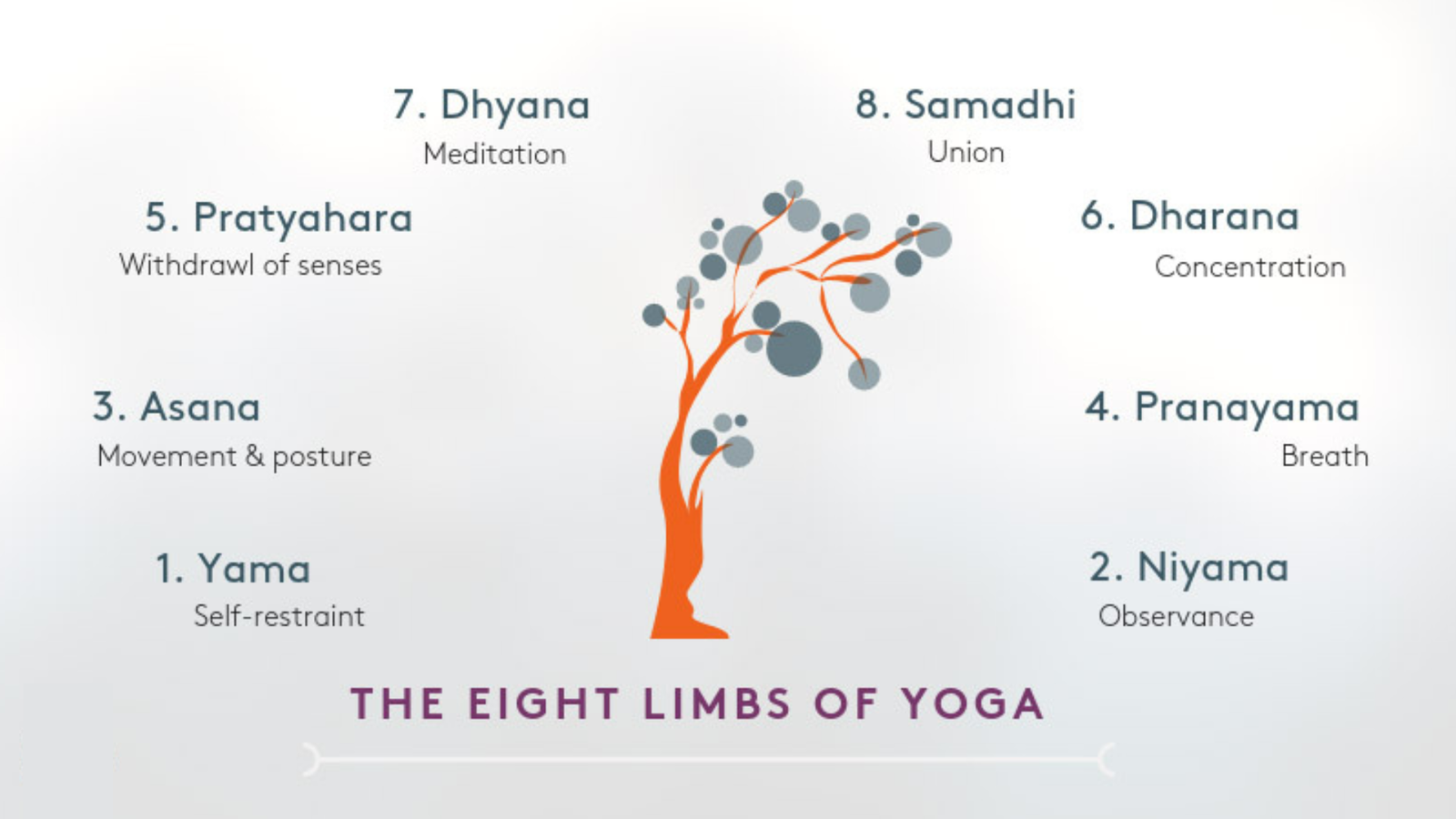 What Are the 8 Limbs of Yoga—And How Do They Lead to True Freedom?