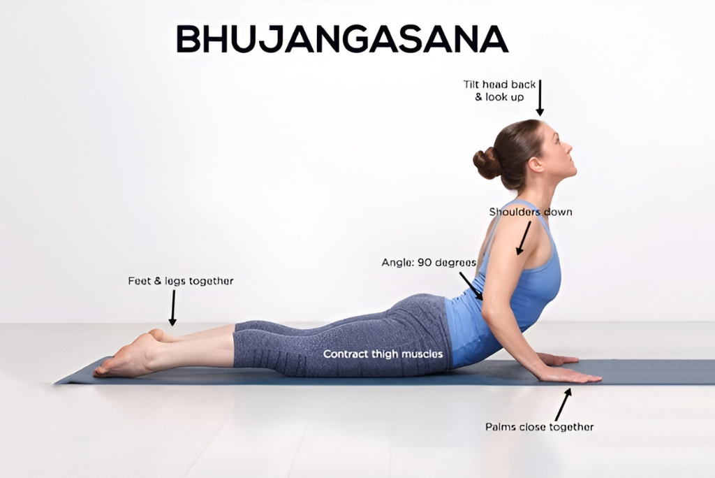 Bhujangasana contraindications (Cobra Pose)