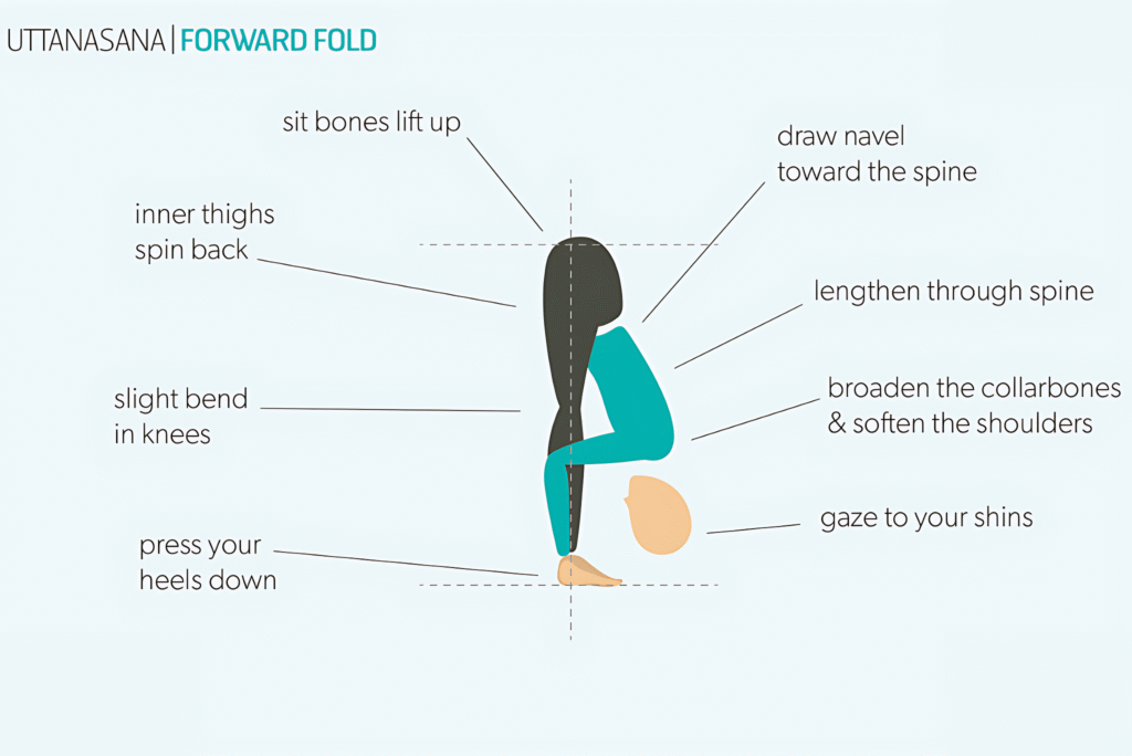 Benefits and the 12 steps of Hatha Yoga Sun Salutation 