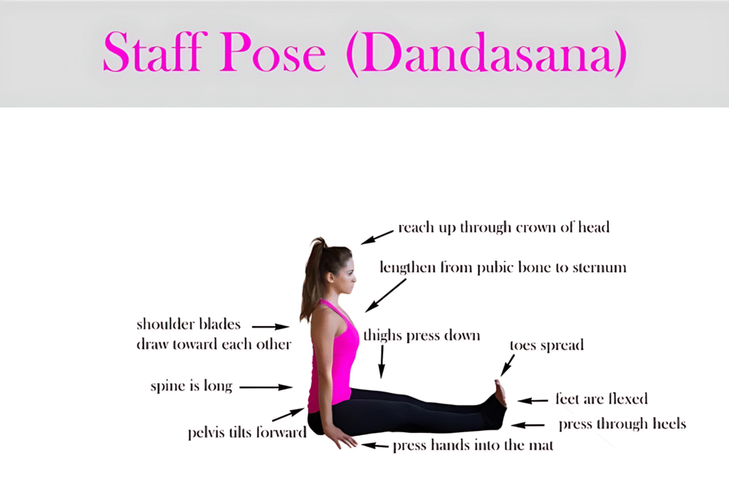 Chandra Namaskar Benefits (Moon Salutation)