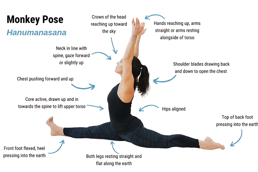 What are the Hanumanasana Benefits?