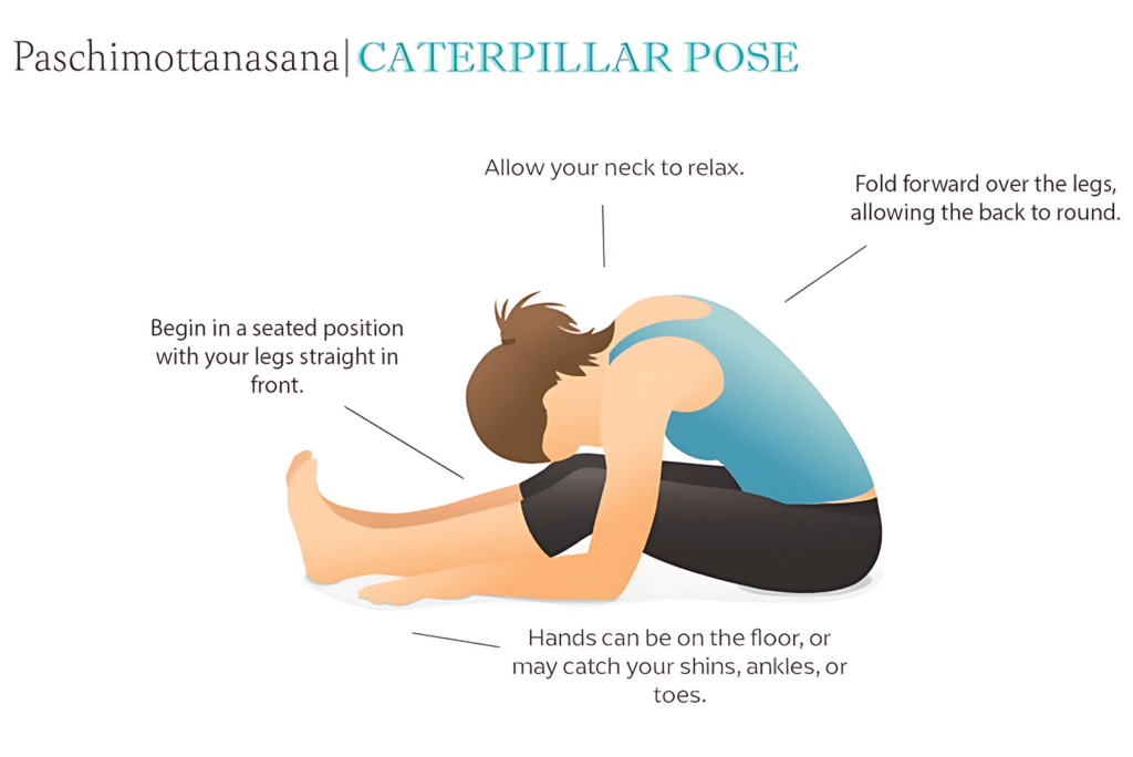 Best 10 Yin Yoga Poses to help you feel recharged.
