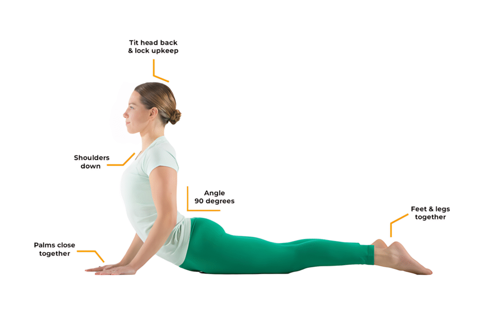 Benefits and the 12 steps of Hatha Yoga Sun Salutation 