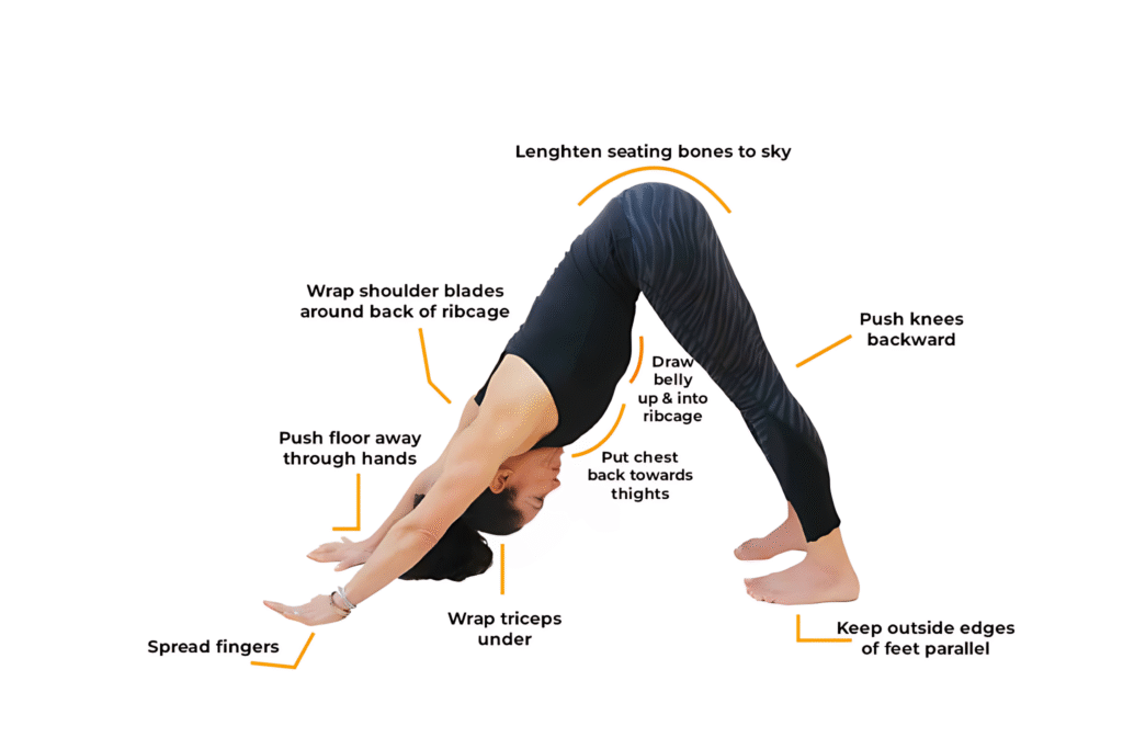 Best 10 Yin Yoga Poses to help you feel recharged.