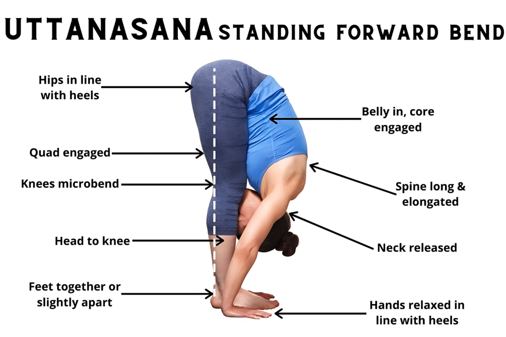 Benefits and the 12 steps of Hatha Yoga Sun Salutation 